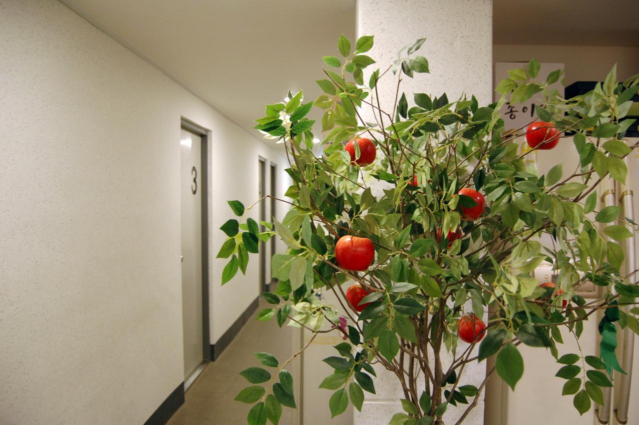 Dongseongro Zero Guesthouse Daegu Dış mekan fotoğraf